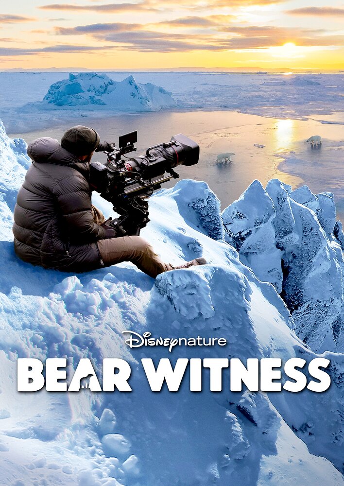 Bear Witness