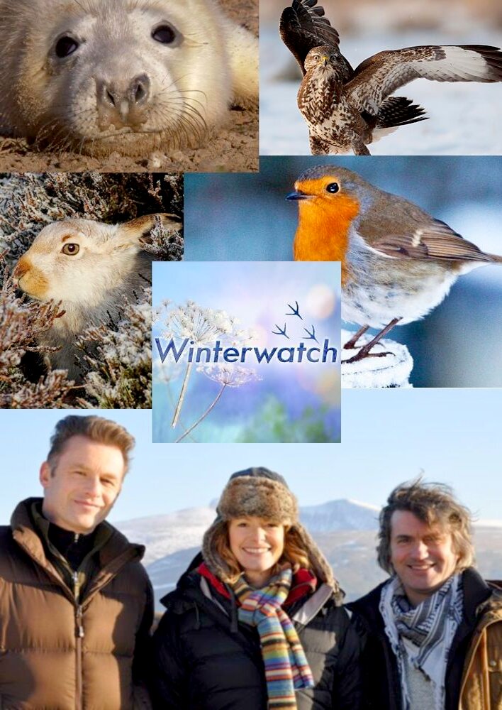 Winterwatch