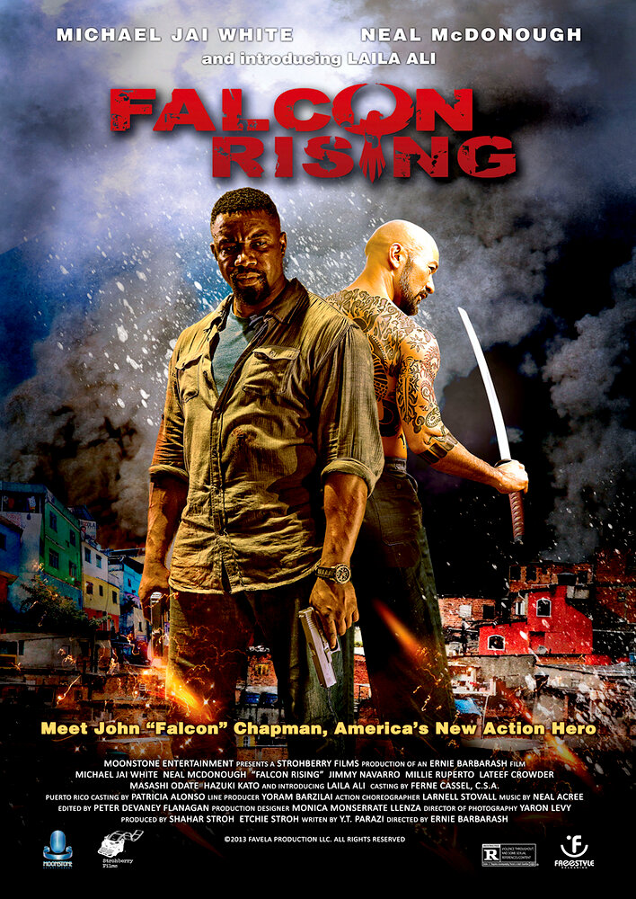 Falcon Rising