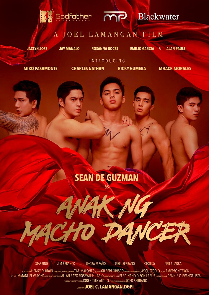 Son of Macho Dancer