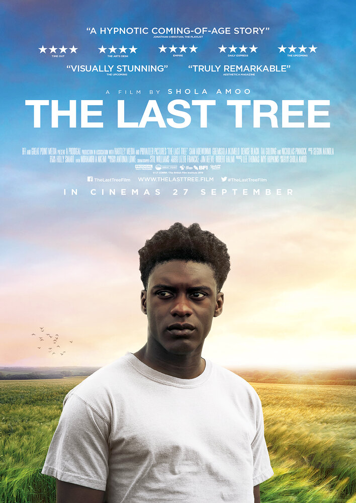 The Last Tree