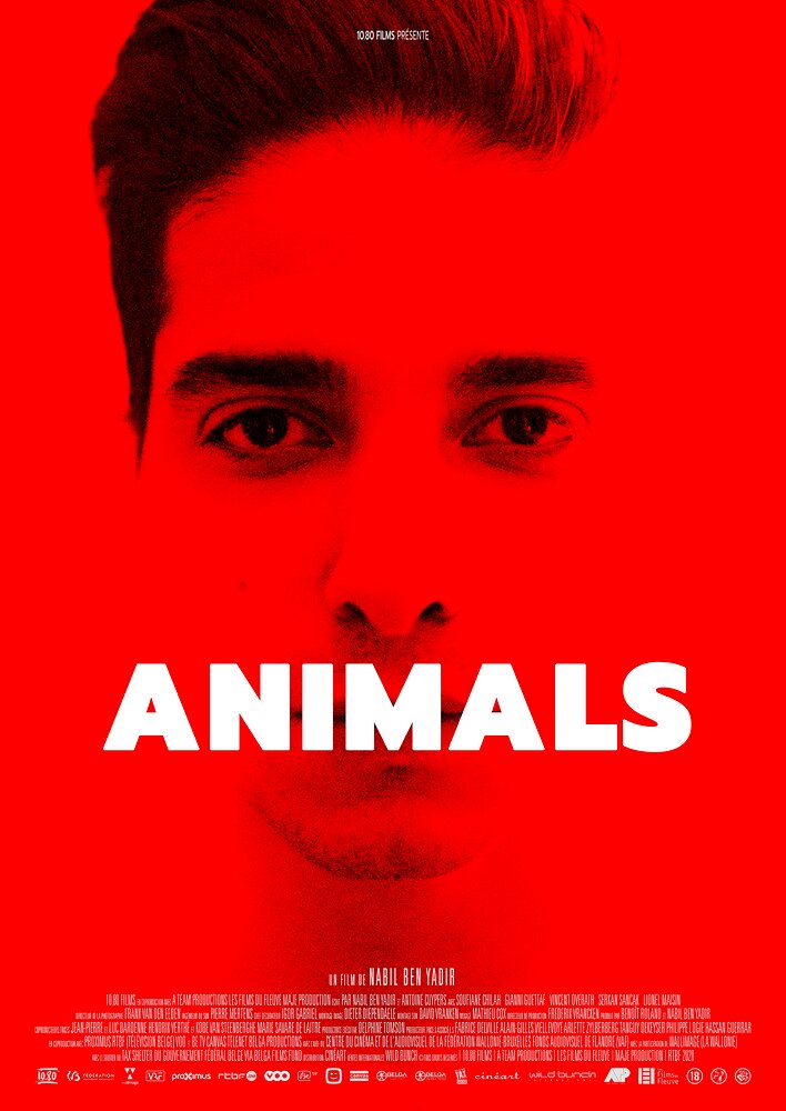 Animals