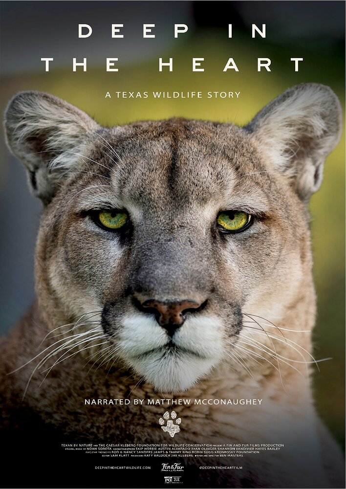 Deep in the Heart: A Texas Wildlife Story