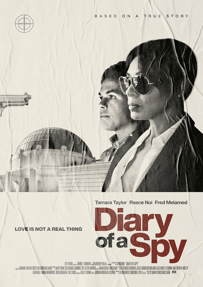 Diary of a Spy