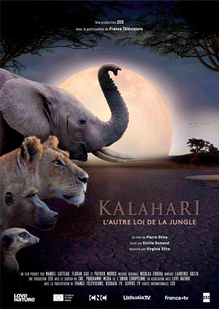 Kalahari: Land of Secret Alliances