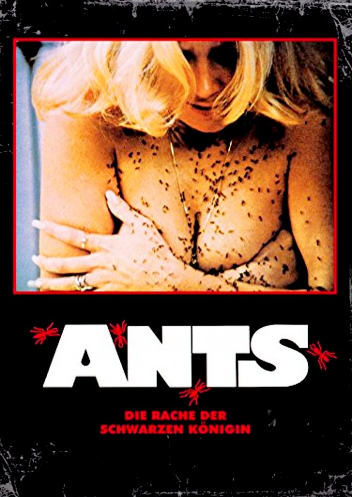 Ants!