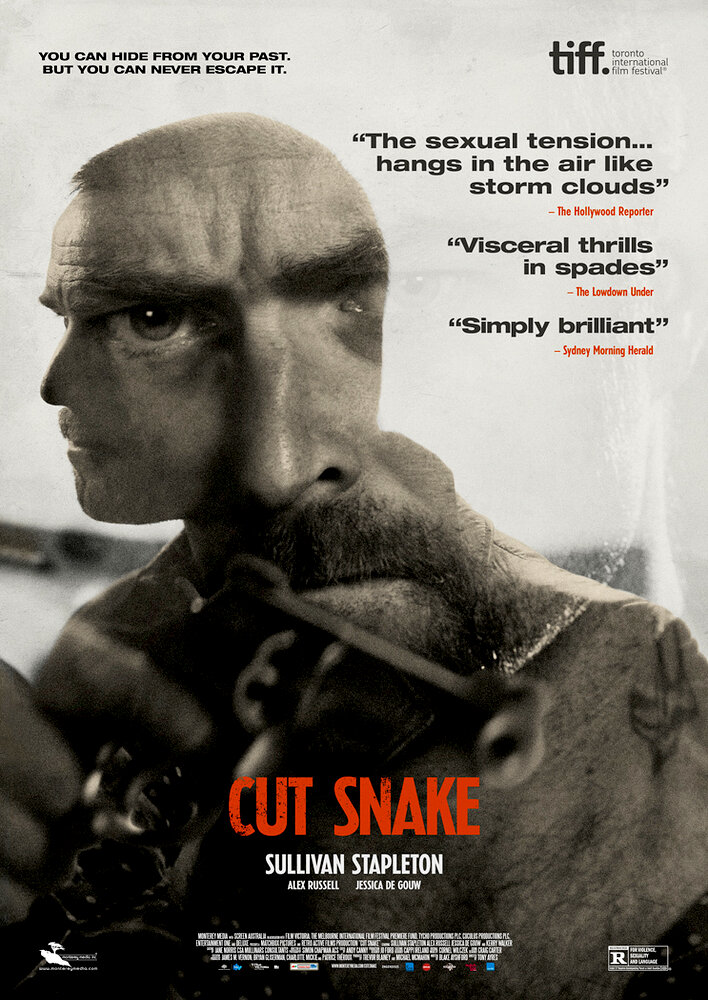 Cut Snake