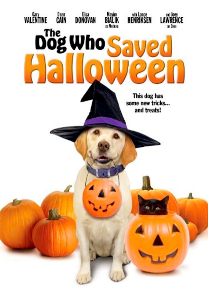 The Dog Who Saved Halloween