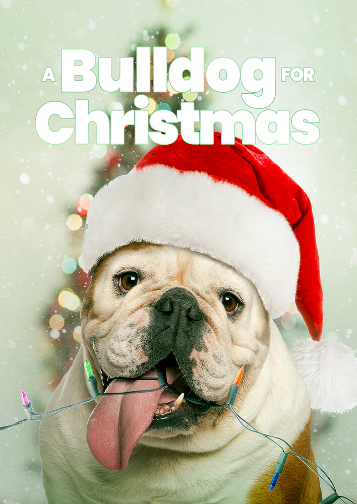 A Bulldog for Christmas