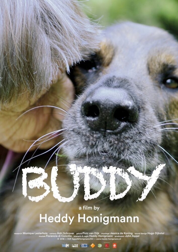 Buddy