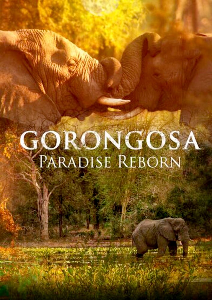 Gorongosa: Paradise Reborn