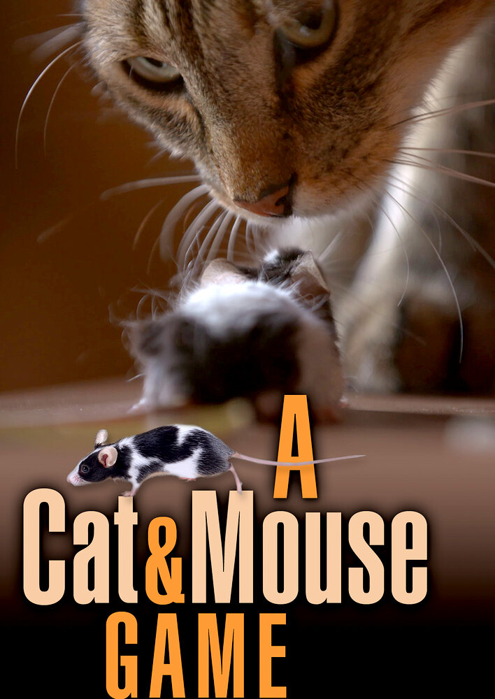 A Cat and Mouse Game