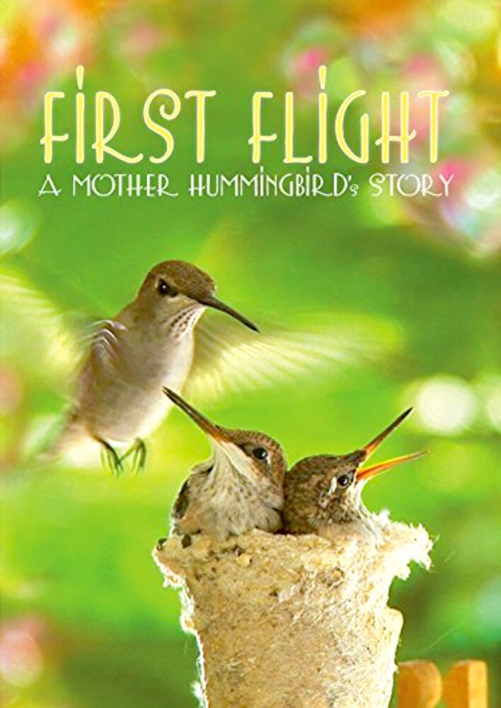 First Flight: A Mother Hummingbird's Story