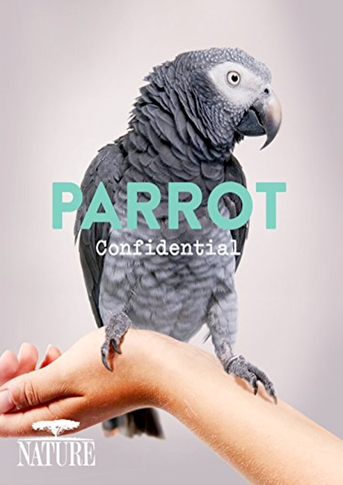 Parrot Confidential