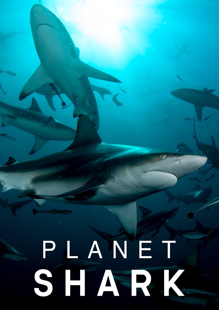 Planet Shark
