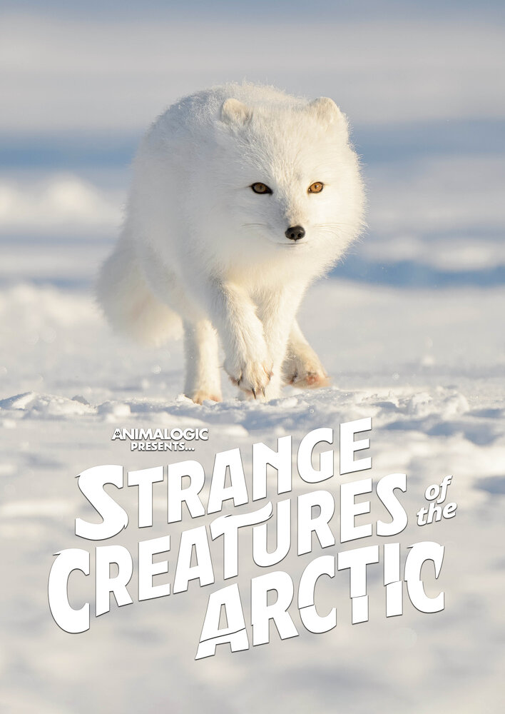 Strange Creatures of the Arctic