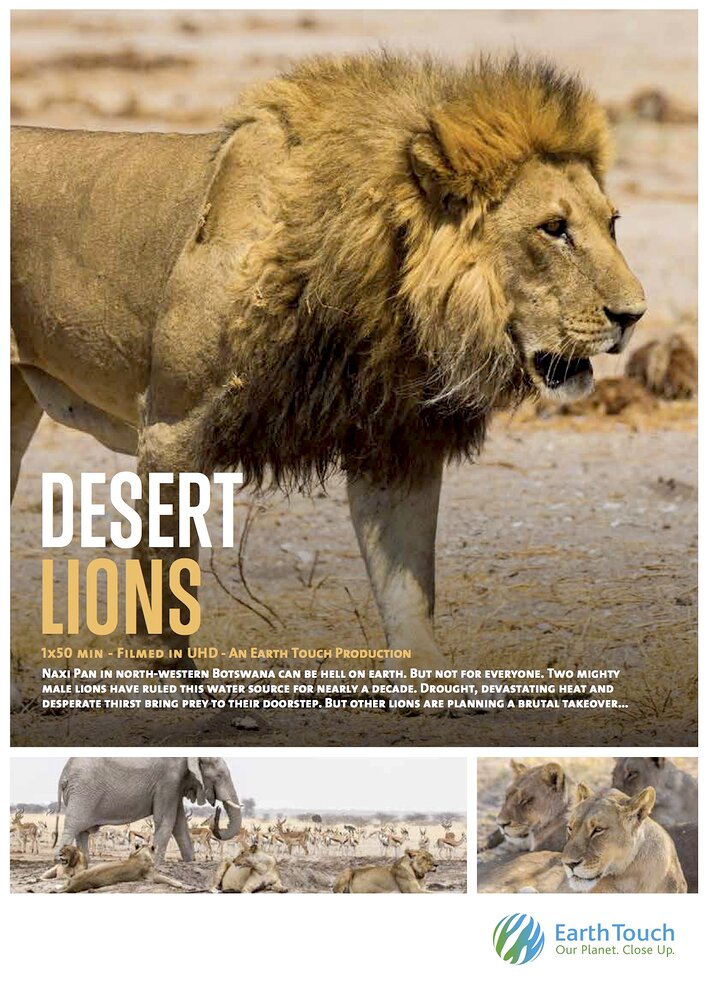 Desert Lions