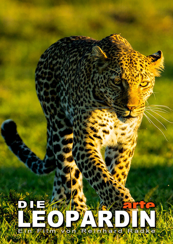 Die Leopardin