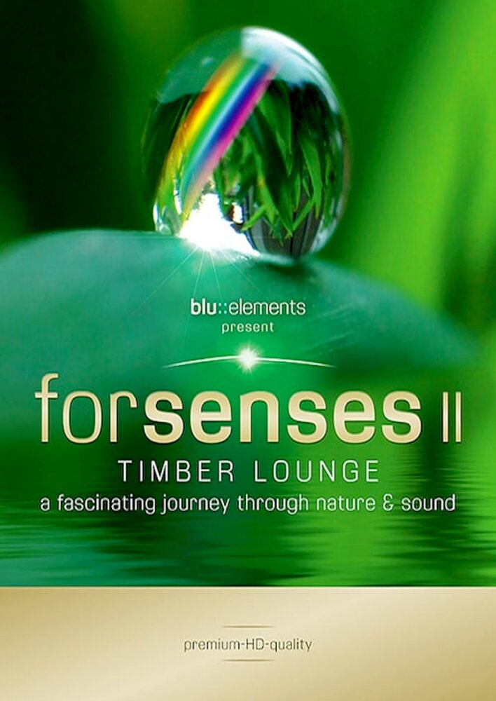 Forsenses II: Timber Lounge