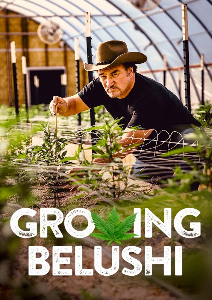 Growing Belushi