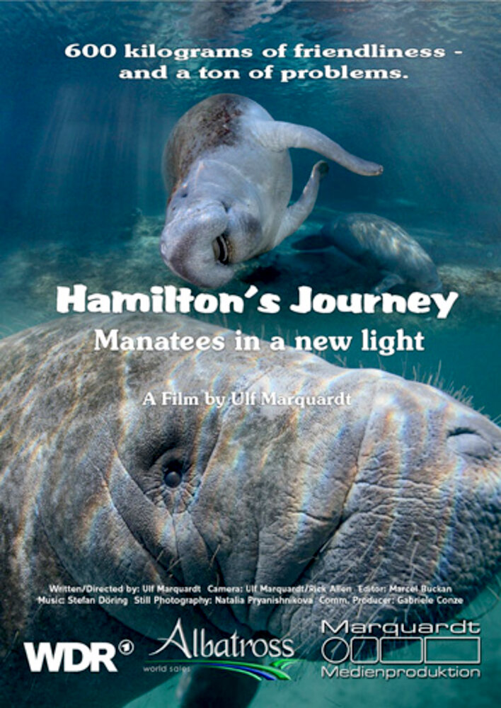 Hamilton's Journey: Manatees in a New Light