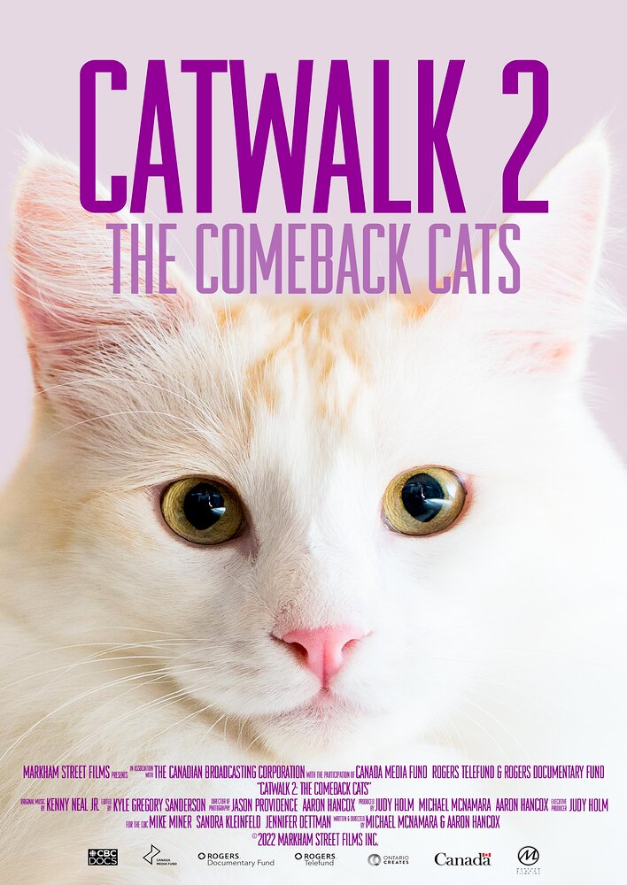 Catwalk 2: The Comeback Cats