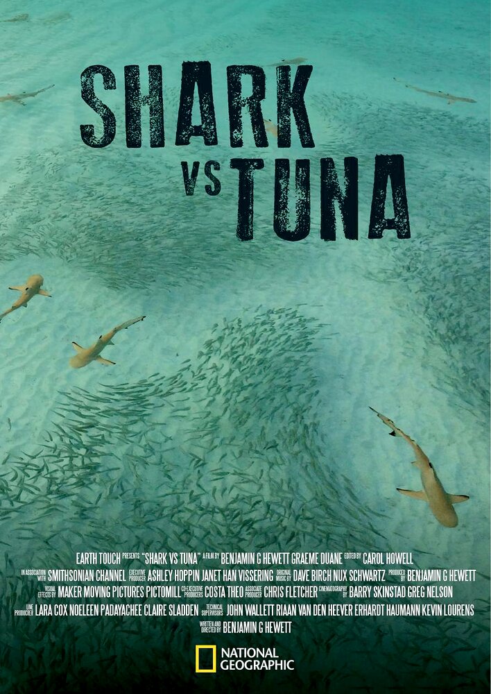 Shark vs Tuna