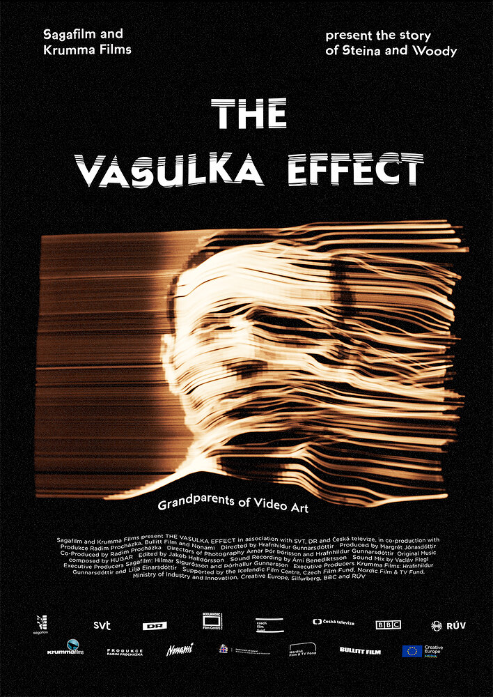 The Vasulka Effect