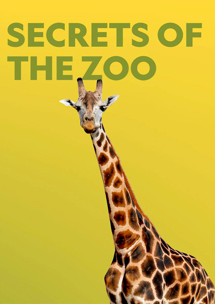 Secrets of the Zoo