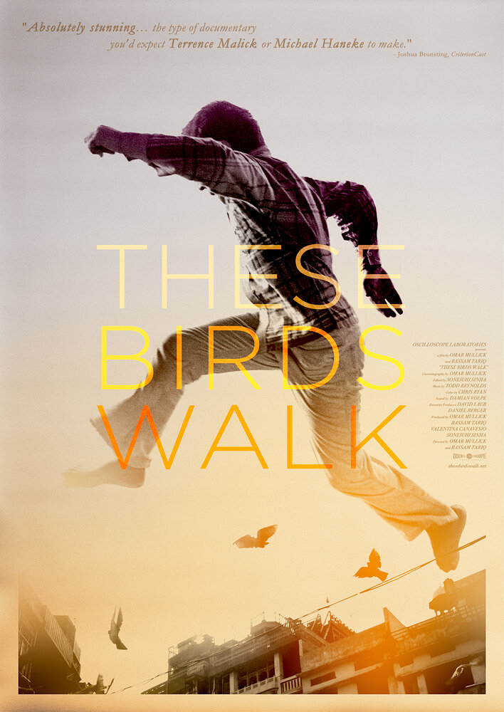 These Birds Walk