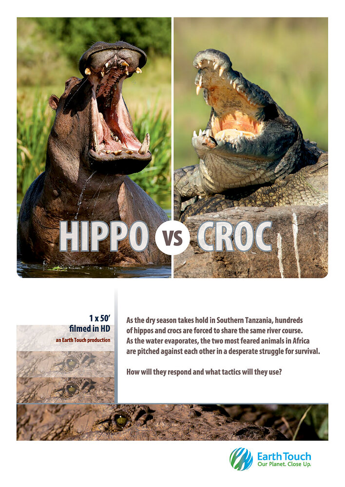 Hippo vs Croc