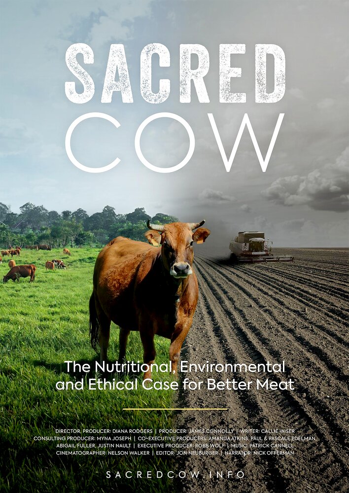 Sacred Cow: The Nutritional, Environmental and Ethical Case for Better Meat