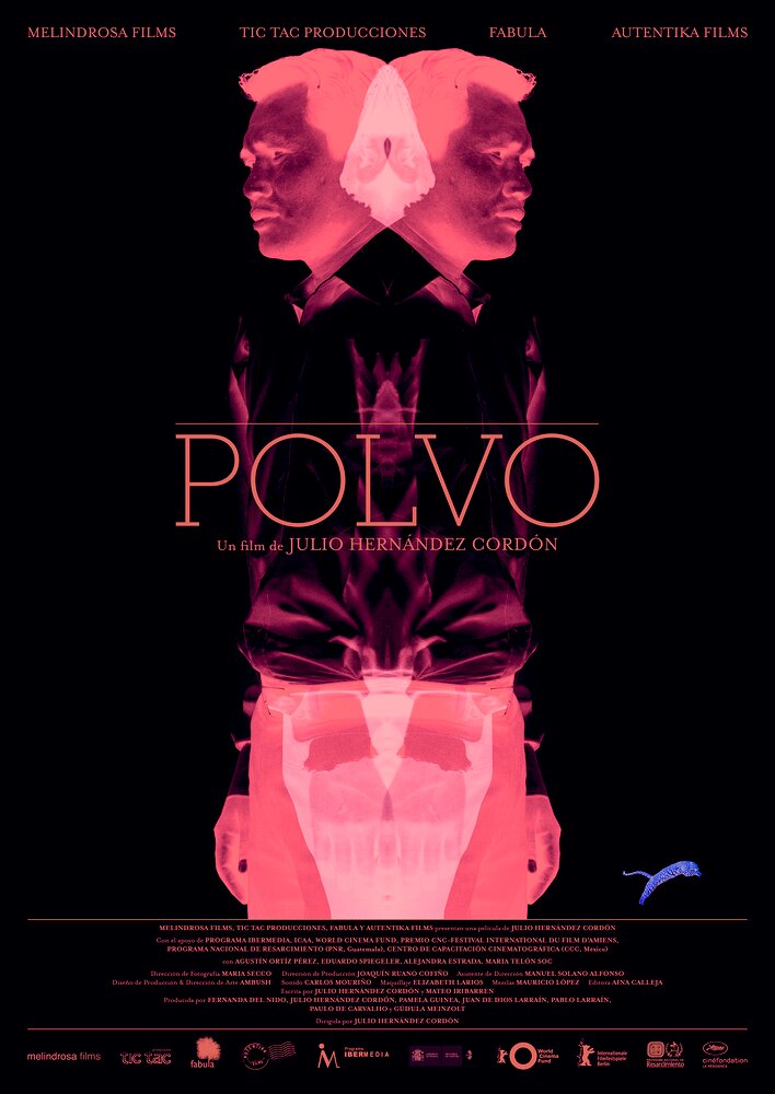 Polvo