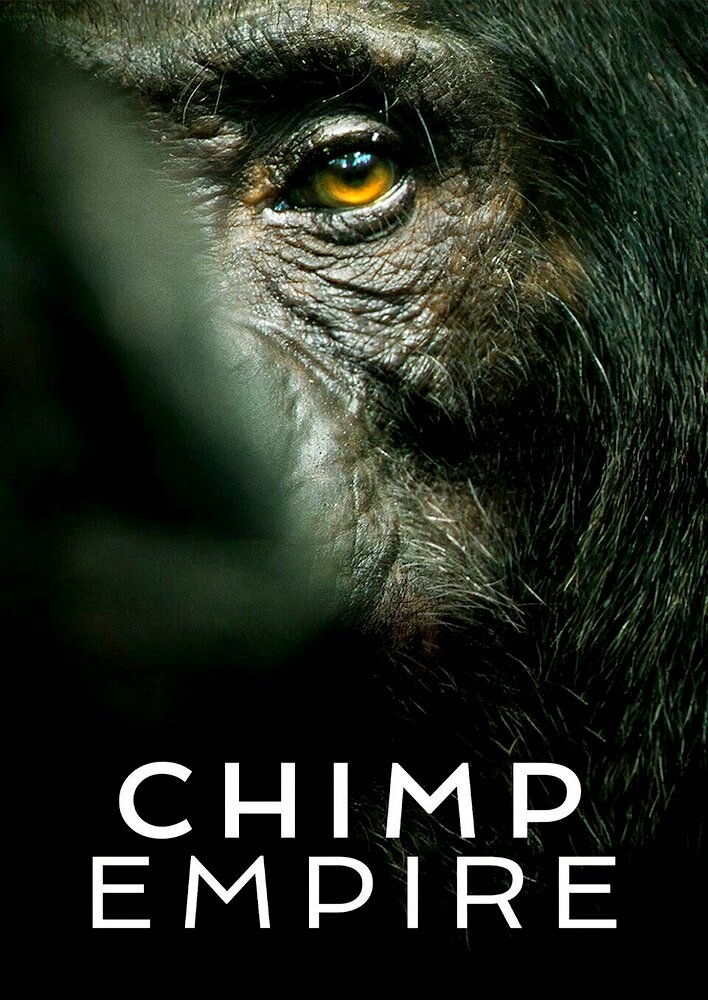 Chimp Empire