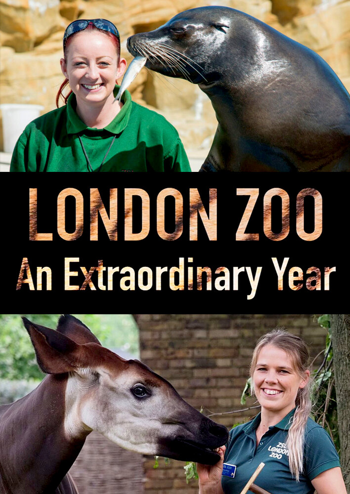 London Zoo: An Extraordinary Year