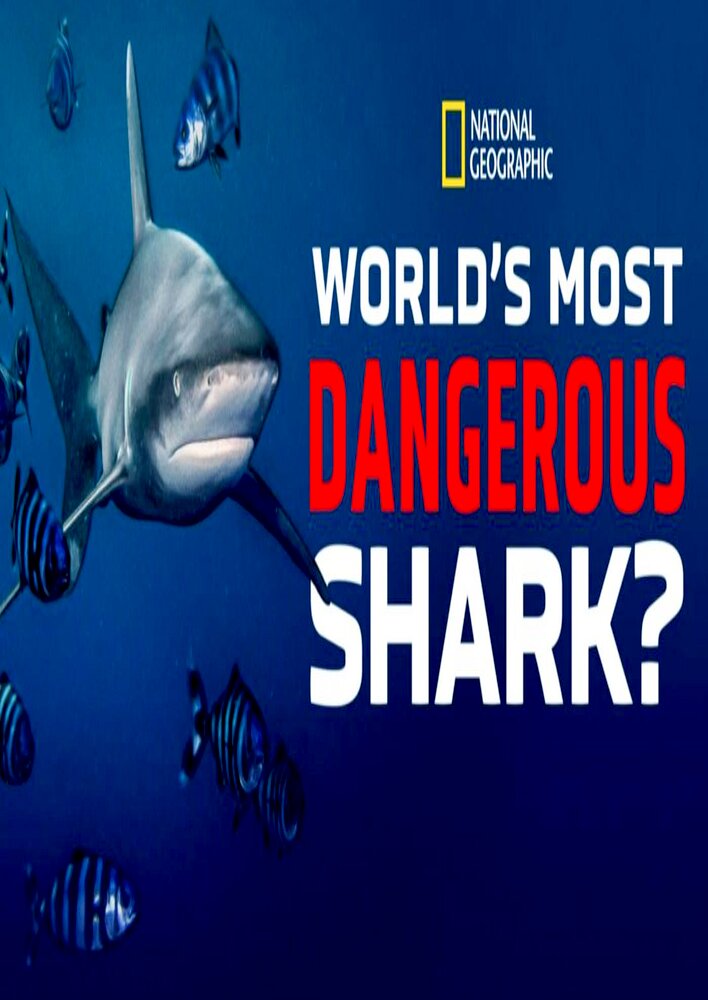 World's Most Dangerous Shark