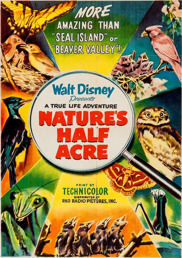 Nature's Half Acre