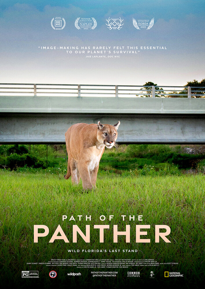 Path of the Panther