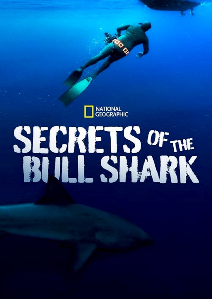 Secrets of the Bull Shark