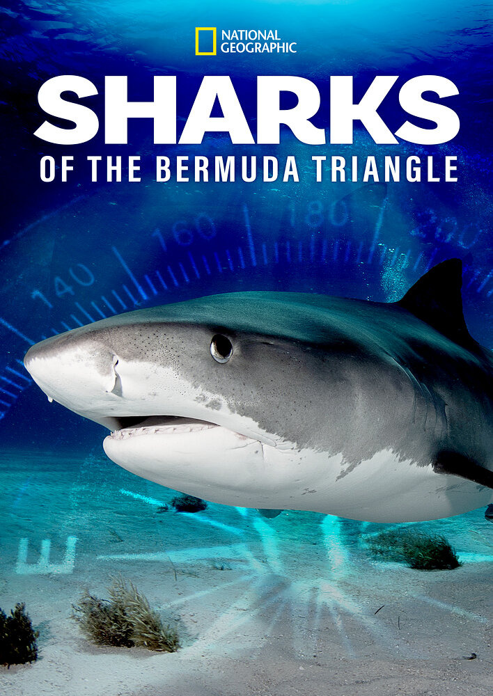 Sharks of the Bermuda Triangle