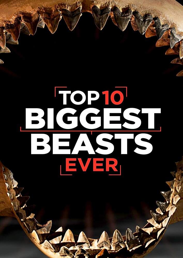 Top 10 Biggest Beasts Ever