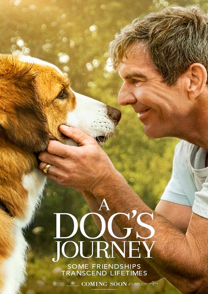 A Dog's Journey