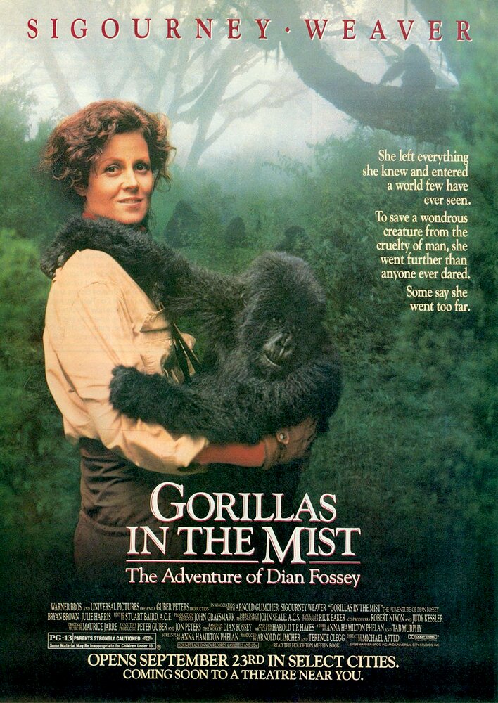 Gorillas in the Mist