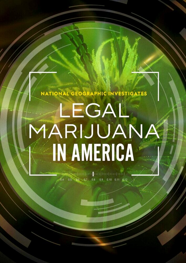 Legal Marijuana in America: The New Green Rush