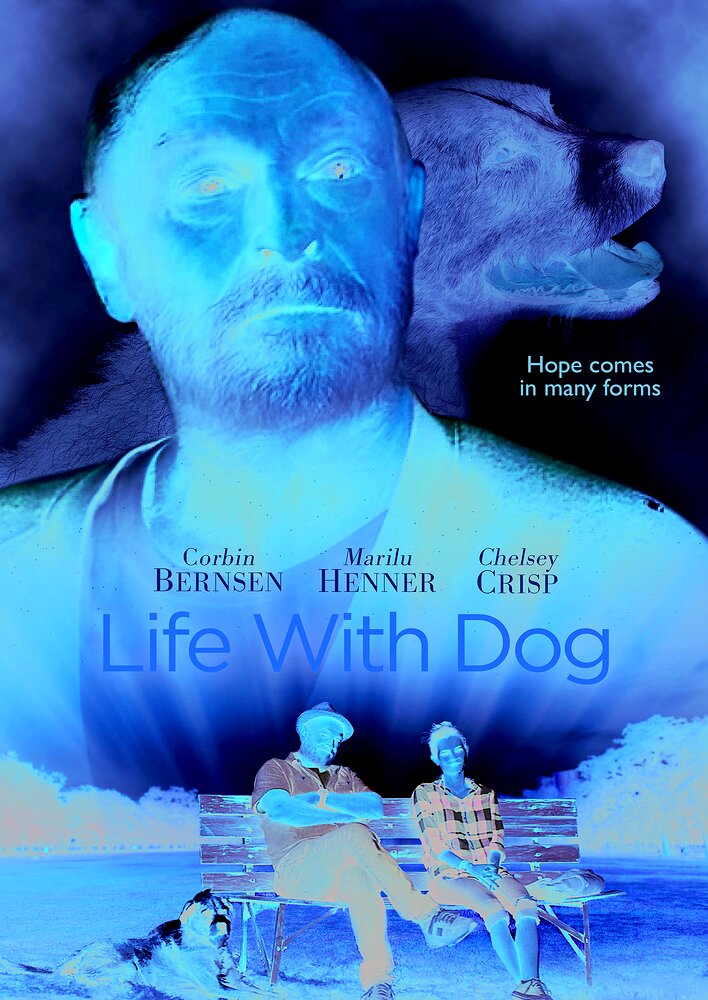 Life with Dog