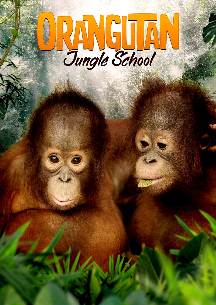 Orangutan Jungle School