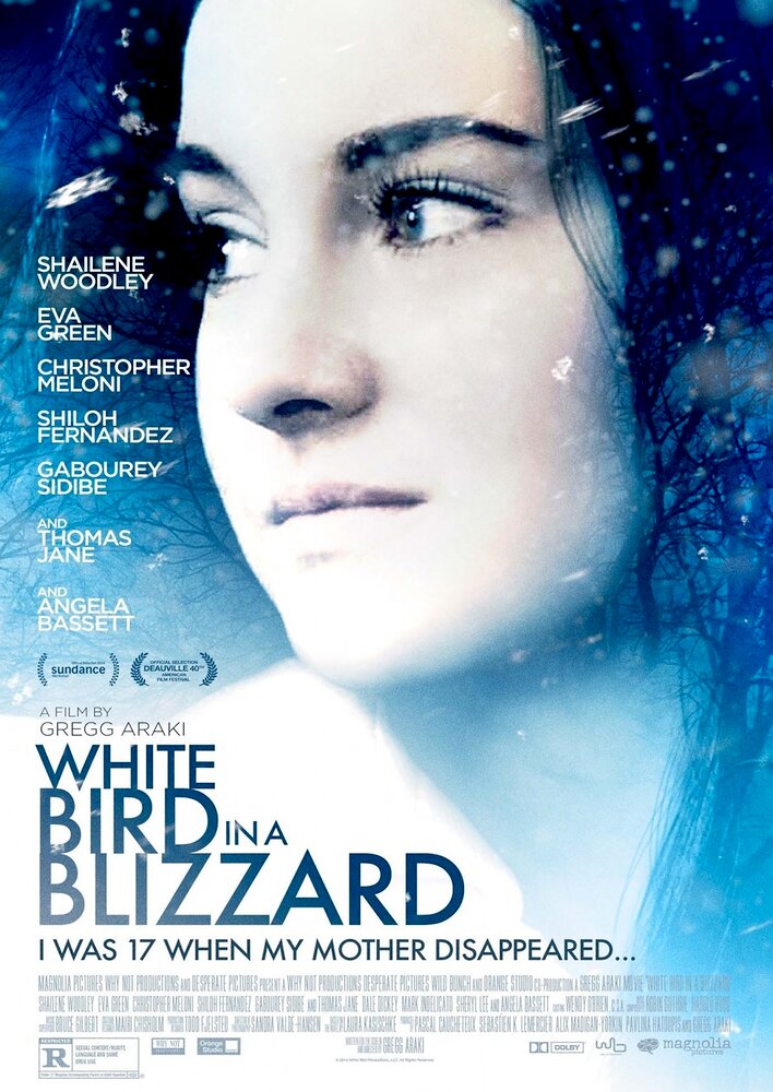 White Bird in a Blizzard