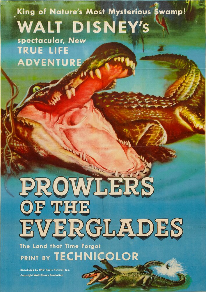 Prowlers of the Everglades