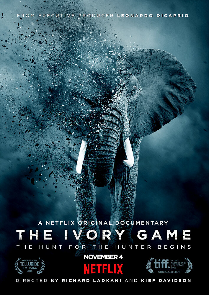 The Ivory Game