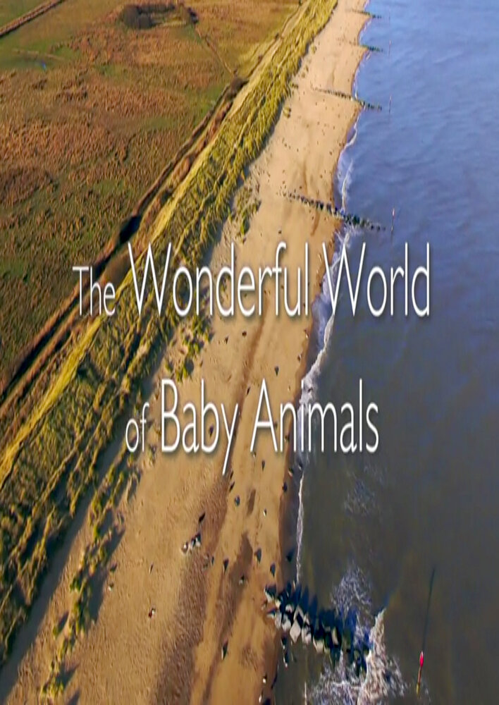 The Wonderful World of Baby Animals